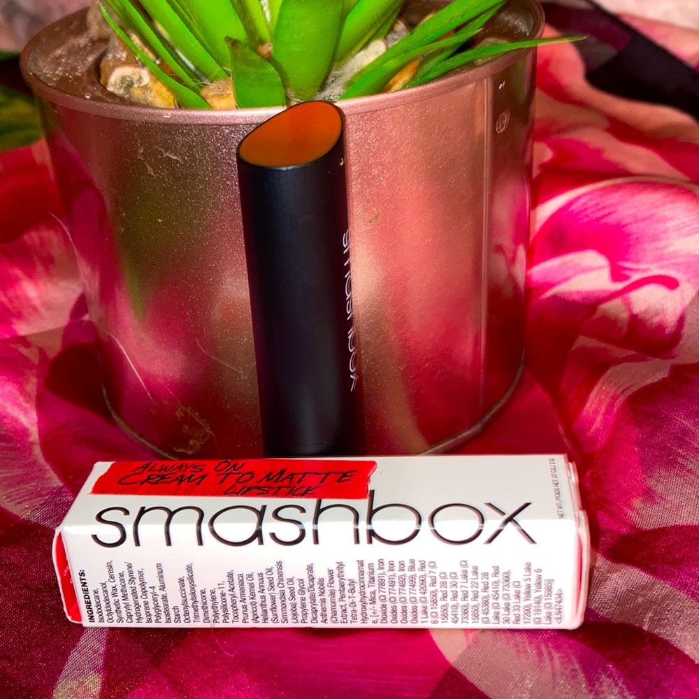 🆕Brand New wonderful lipstick 💄 by Smashbox.